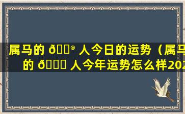 属马的 💮 人今日的运势（属马的 🍀 人今年运势怎么样2024）